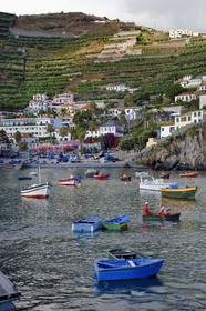 Portugal, Ile de Madère, le port village de pêcheurs de Camara de Lobos