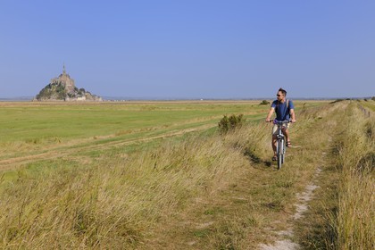 France, Ille et Vilaine, Mont Saint Michel, listed as World Heritage by UNESCO, seen from the sea wall of the polders