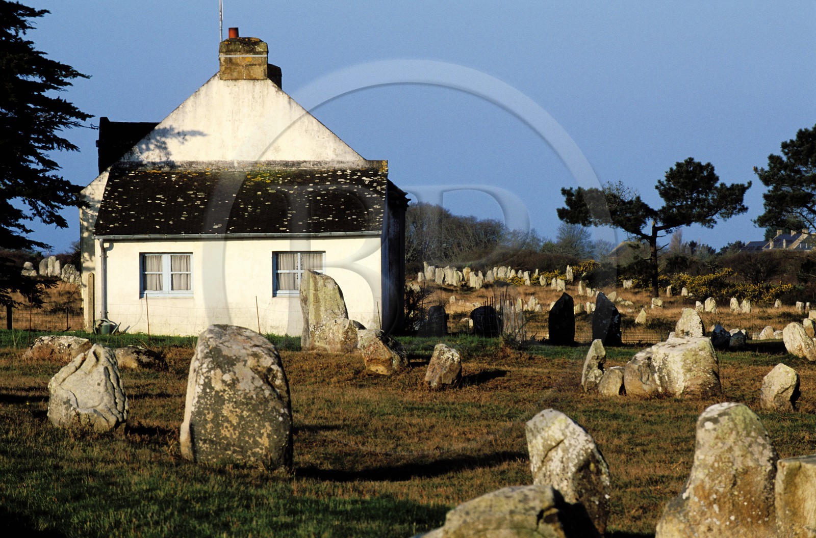 France, Morbihan (56), les mégalithes de Carnac, alignements du Ménec