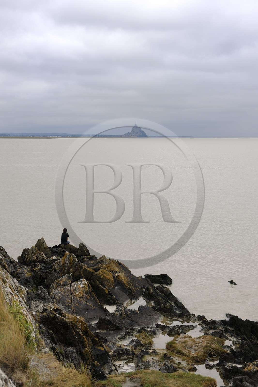 France, Manche, the Bay of Mont Saint Michel and the Mount seen from Groin du Sud