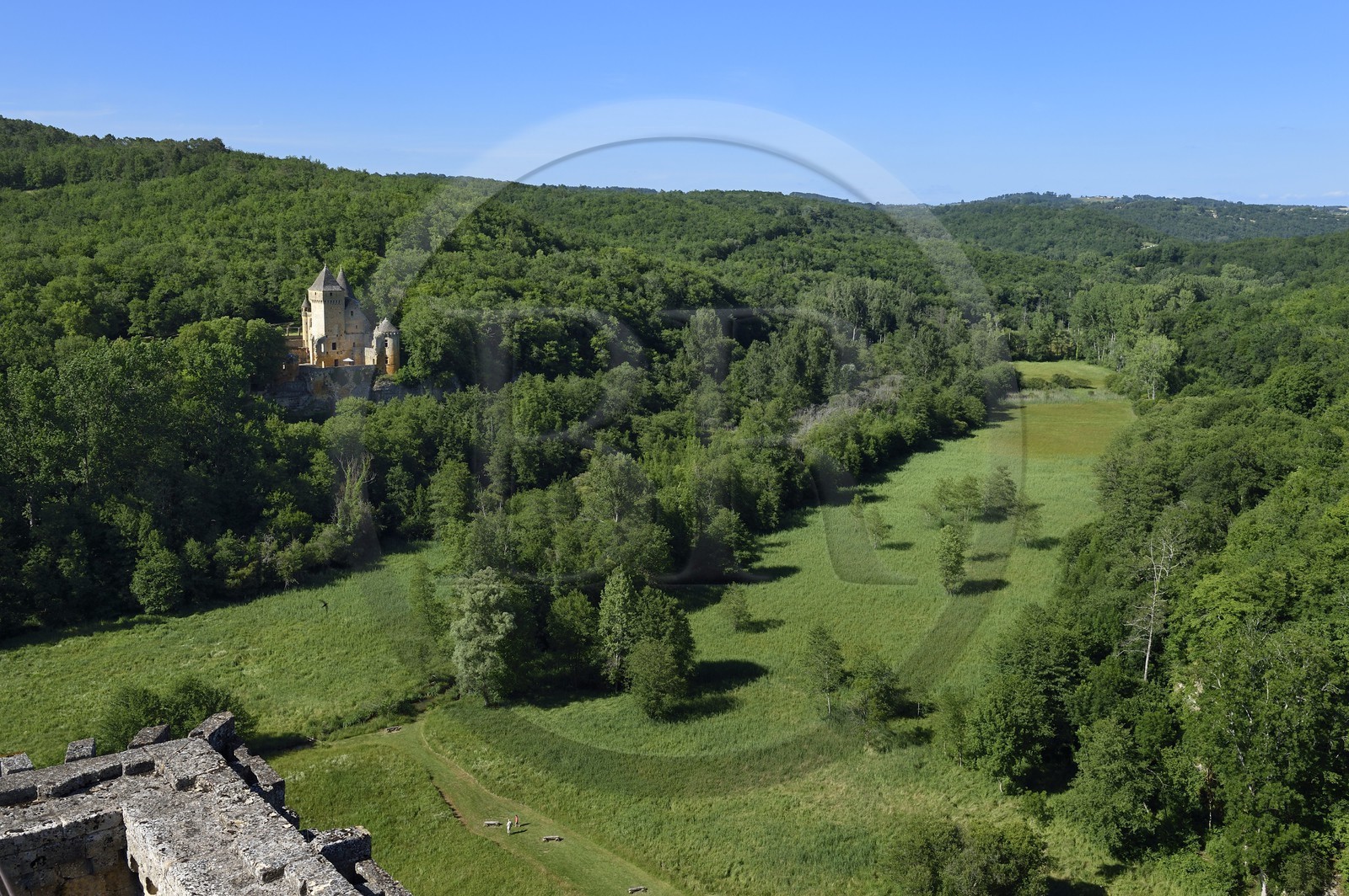 France, Dordogne (24), Périgord Noir, Les Eyzies-de-Tayac-Sireuil, vallée de la Beune, Chateau de Commarque