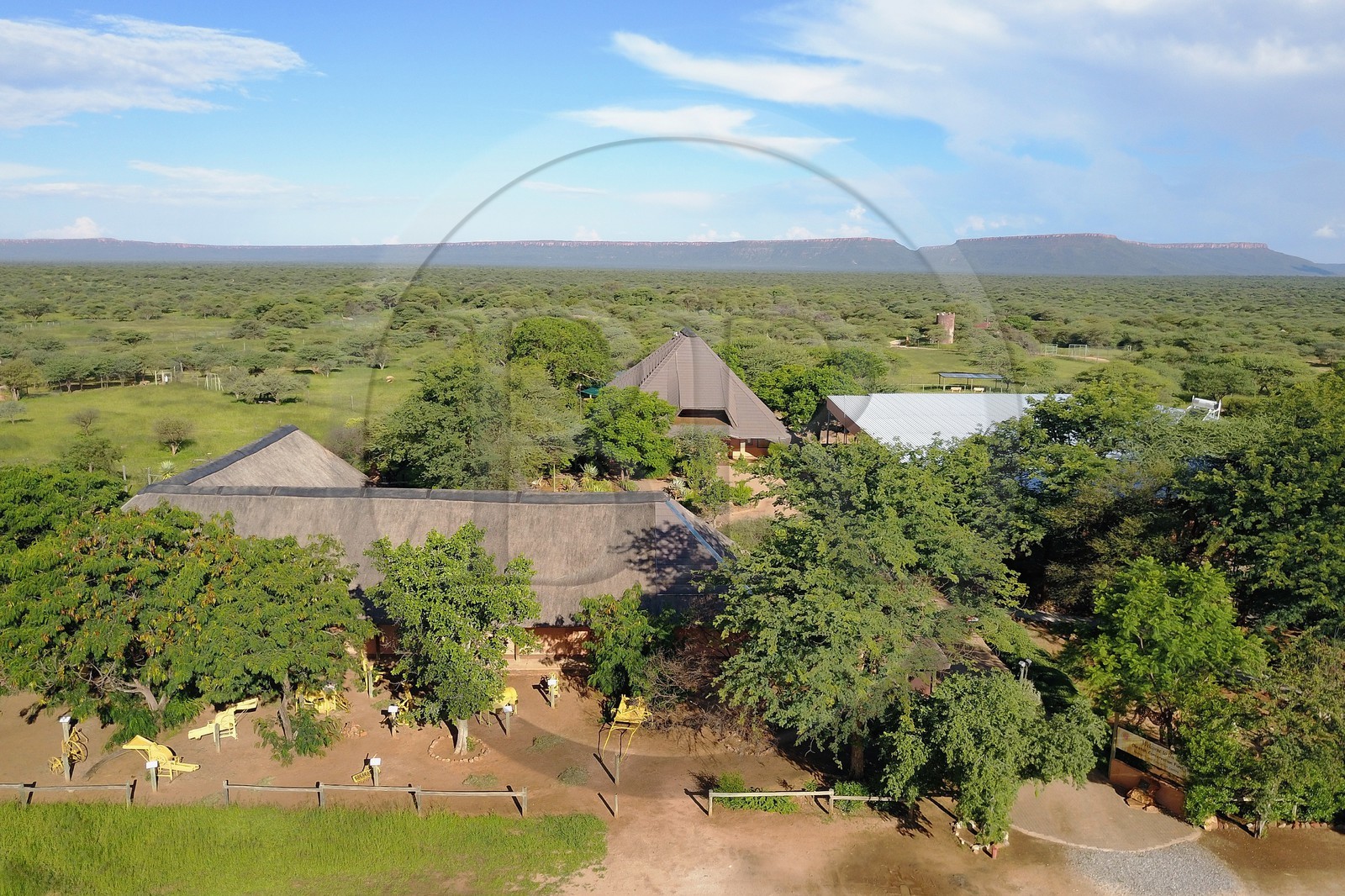 Namibie, Otjiwarongo, Cheetah Conservation Fund, centre de recherche et d'