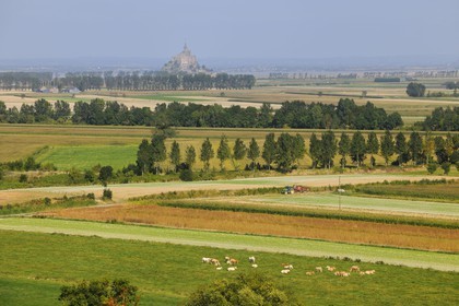 France, Ille-et-Vilaine, Bay of Mont Saint Michel, fields and polders of the Mont Saint Michel seen on the Breton side from Roz-sur-Couesnon