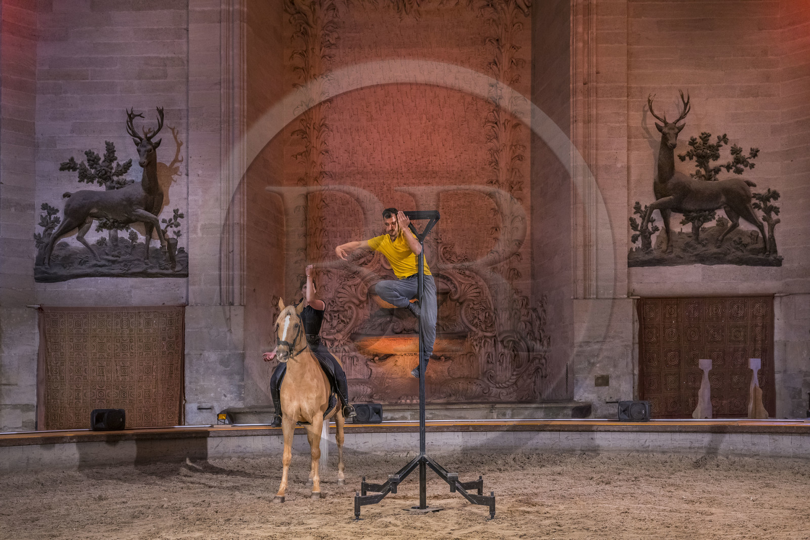France, Oise (60), Chantilly, le chateau de Chantilly, les Grandes Ecuries, la salle des spectacles équestres sous le dome de l'ancien rendez-vous de chasse à cour, répétition d'un spectacle entre acrobate et cheval