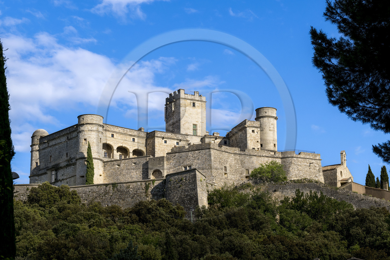 France, Vaucluse (84), Dentelles de Montmirail, Le Barroux, le chateau du Barroux émergeant de la forêt