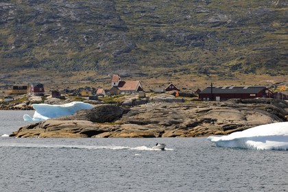 Groenland, ville de Nanortalik et bateau à moteur progressant entre les icebergs dans la baie