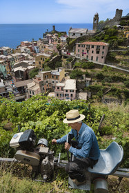 Italie, Ligurie, Cinque Terre, parc national des Cinque Terre classé Patrimoine Mondial de l'UNESCO, village de Vernazza, Bartolomeo Lercari propriétaire exploitant des vins AOC Liguria di Levante Cheo sur son monorail à crémaillère destiné aux vendanges sur ces terres extrêmement pentues