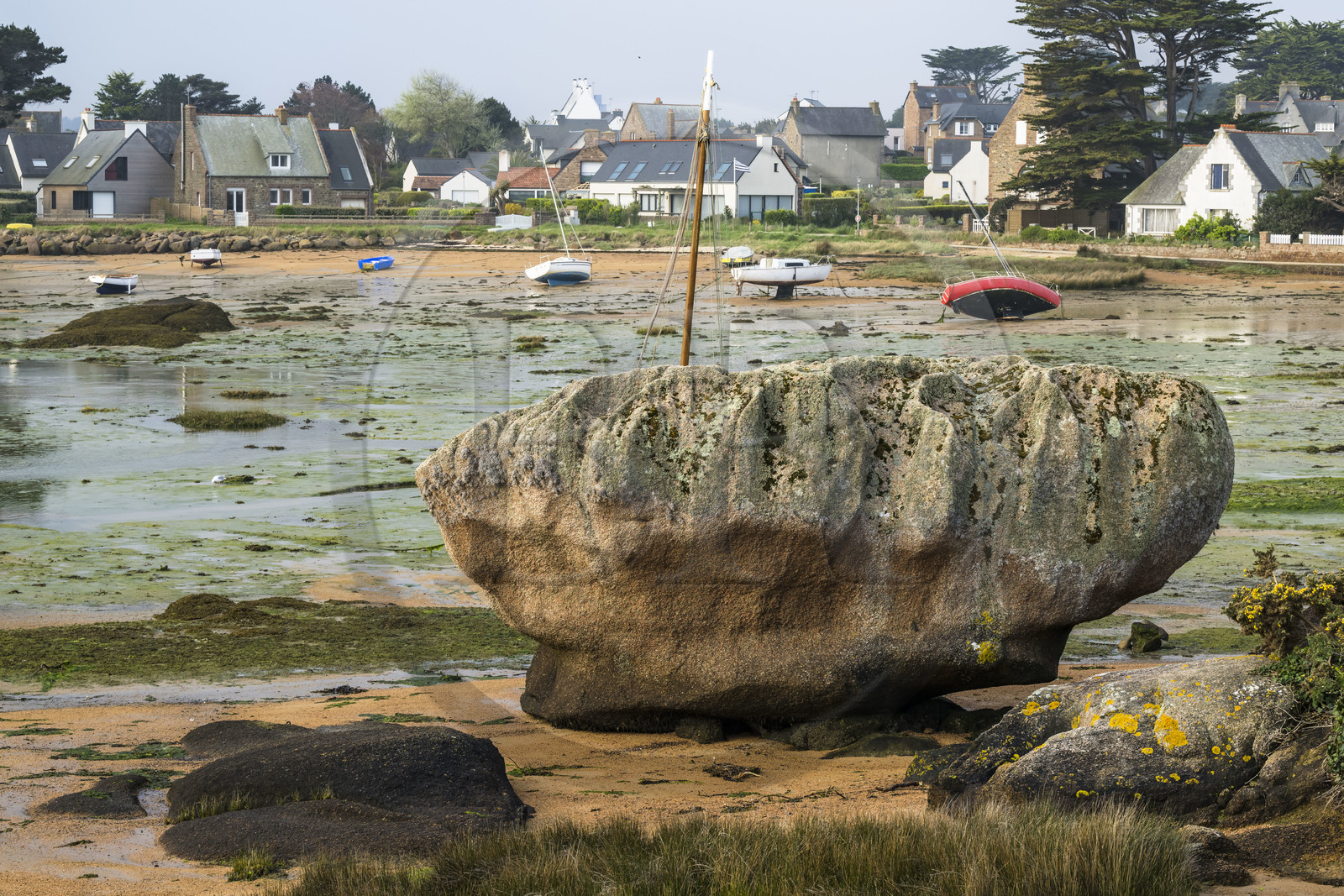 France, Côtes-d'Armor (22), Côte de Granit Rose, Trégastel, Ile Renote, la plage à marée basse