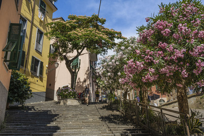 Italy, Liguria, Cinque Terre National Park listed as World Heritage by UNESCO, village of Riomaggiore,