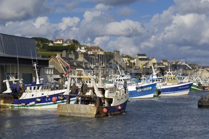 France, Calvados, Port en Bessin, the fishing port