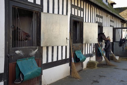 France, Calvados (14), Pays d'Auge, Deauville, Hippodrome de Deauville-La Touques, les écuries