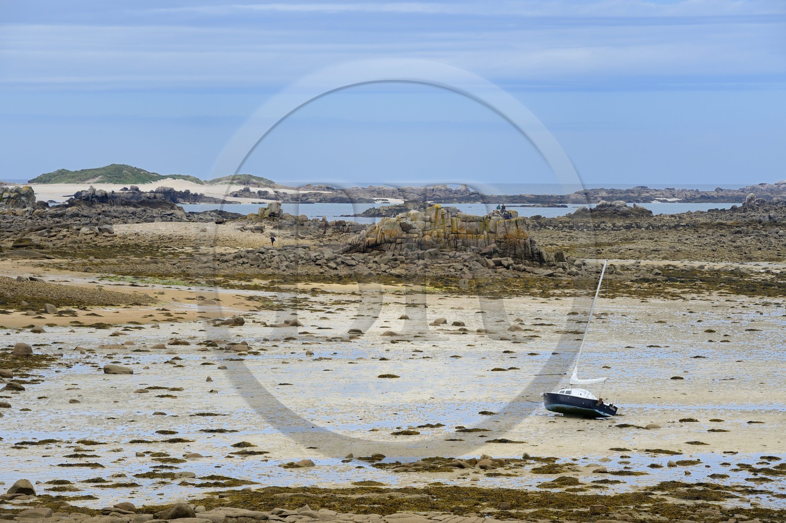 France, Côtes-d'Armor (22), Côte de Granit Rose, Trébeurden
