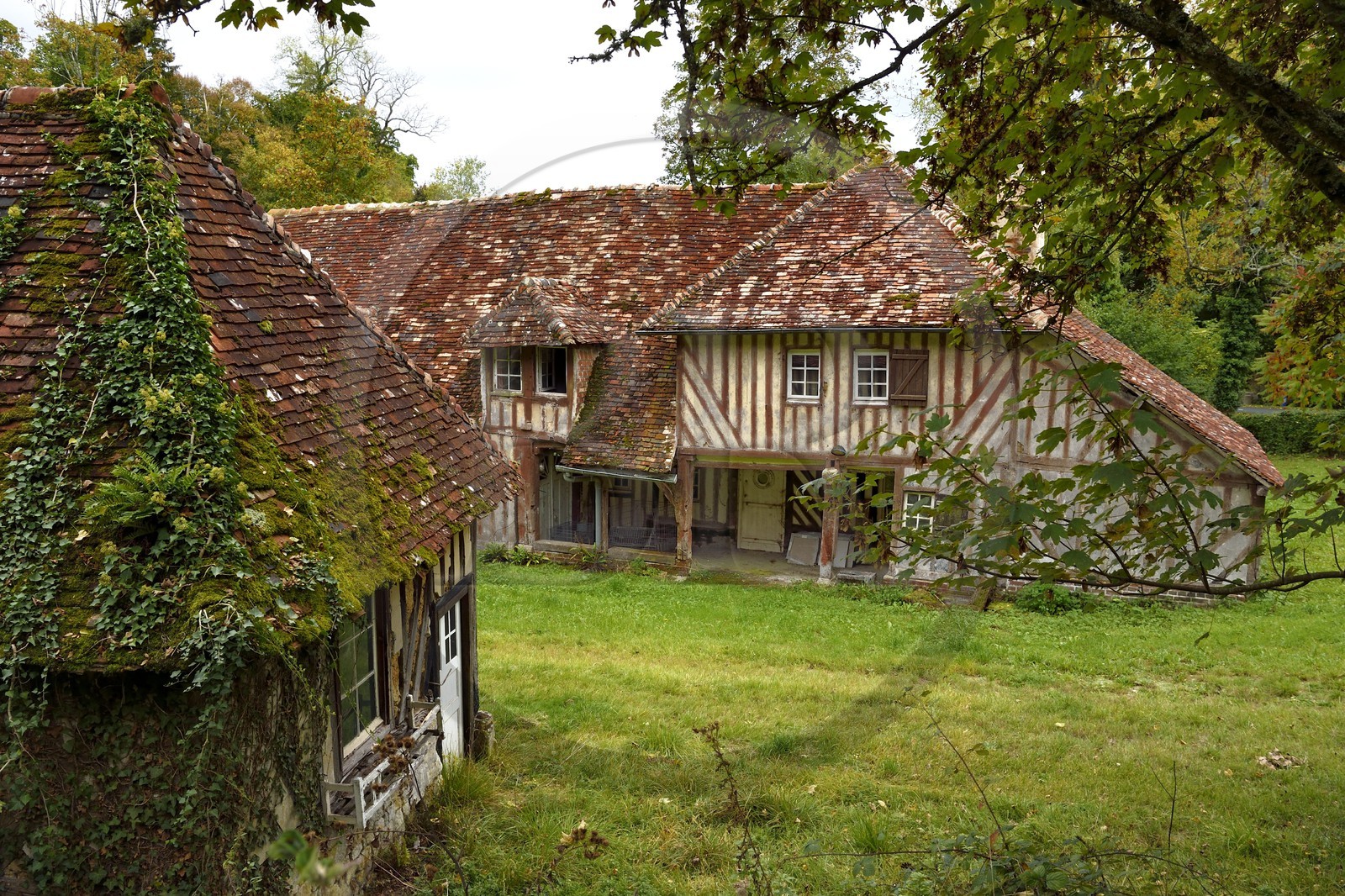 France, Calvados (14), Pays d'Auge, La Roque Baignard, ruine d'une ancienne ferme