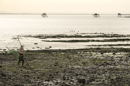 France, Charente-Maritime (17), Port-des-Barques, pêcheur au carrelet et cabanes sur pilotis appelées carrelets en arrière plan