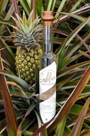 France, Ile de la Reunion, La Saline, eau de vie d'ananas Victoria de La Part des Anges Distillation et champ d'ananas
