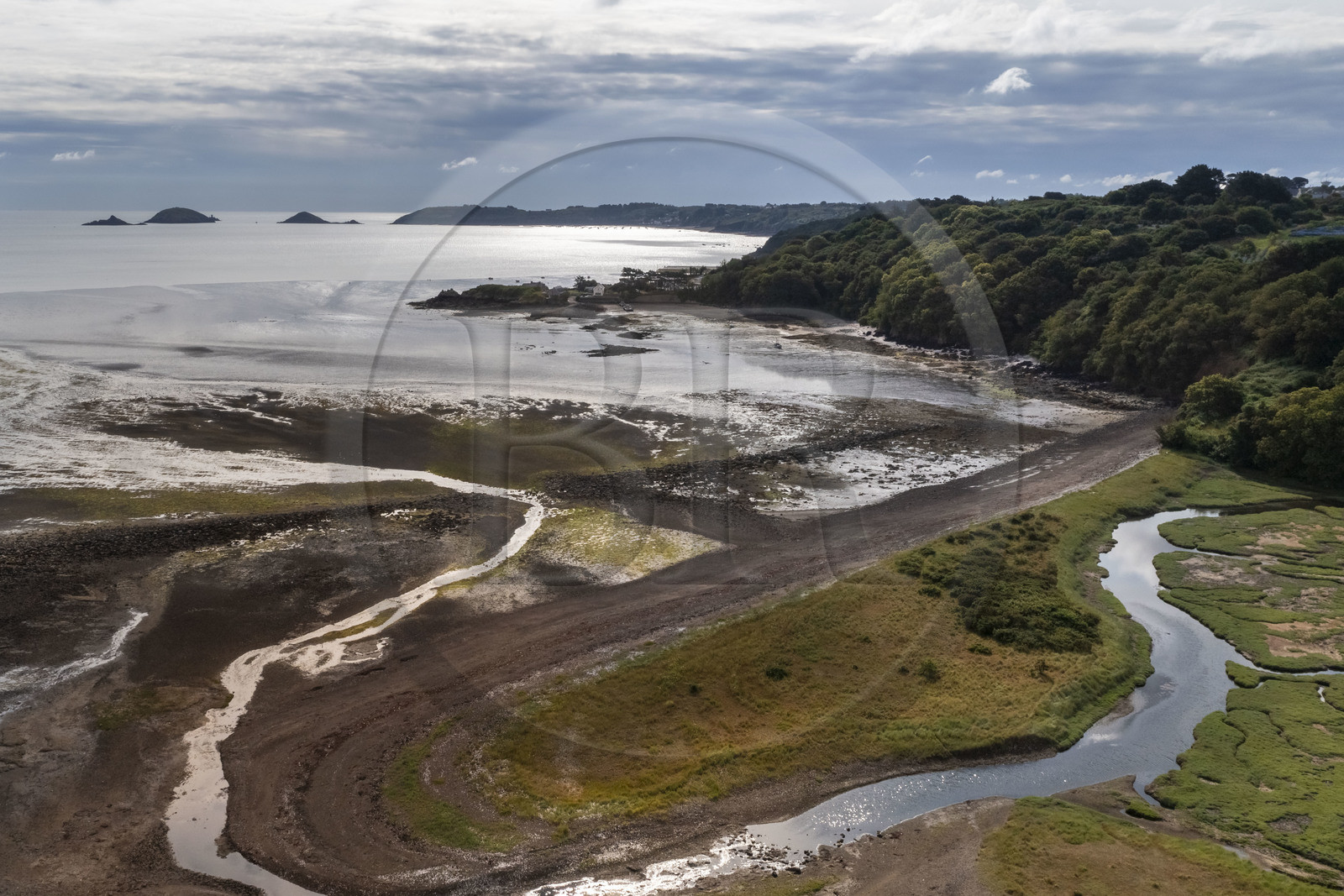 France, Cotes d'Armor, Paimpol, la grève au pied de l'abbaye de Beauport (vue aérienne)
