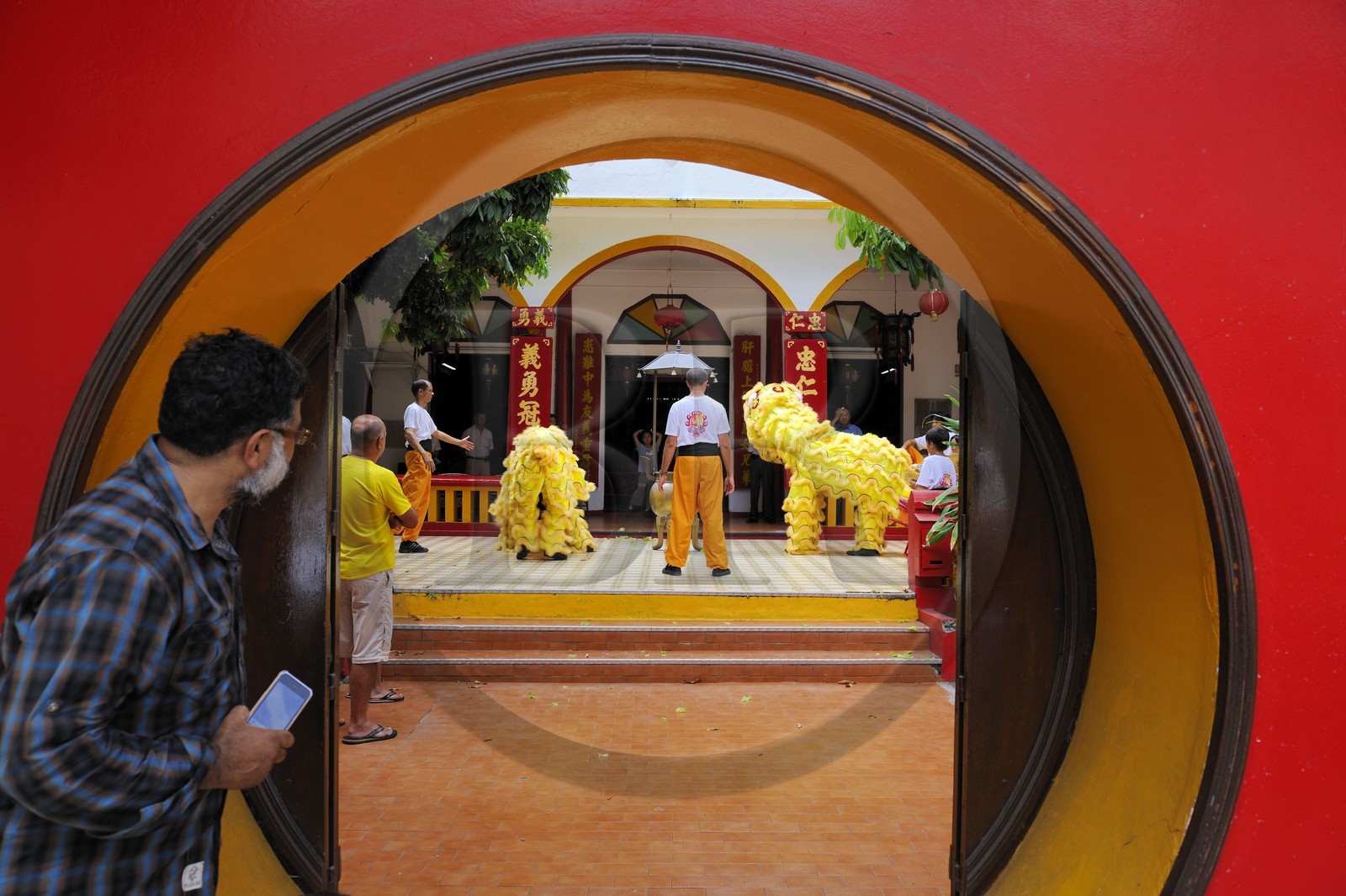 France, île de la Réunion, Saint-Pierre, danse traditionnelle du dragon à l'occasion des fêtes du nouvel an chinois dans un temple