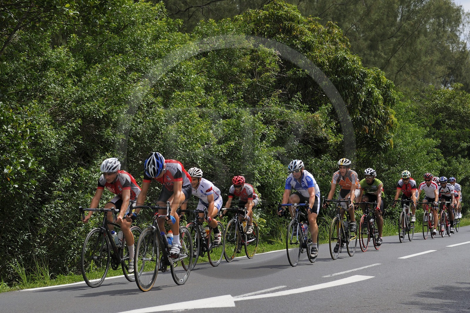 France, Reunion island (French overseas department), South coast, towards Saint Philippe, cyclists on a road of the Sud sauvage (Wild South)