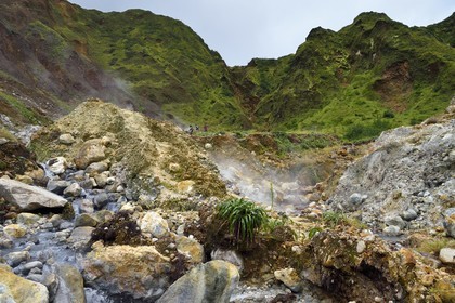Caribbean, Dominica Island, Castle Bruce, Morne Trois Pitons National Park listed as World heritage by UNESCO, Valley of Desolation, hike on the trail to Boiling Lake