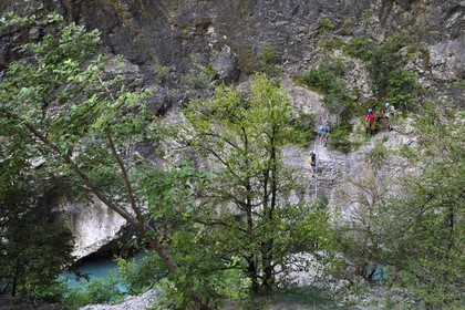 France, Alpes-de-Haute-Provence (04), Parc Naturel Régional du Verdon, Rougon, Grand Canyon du Verdon, la rivière du Verdon, grimpeurs sur une paroi des falaises du couloir Samson, vu depuis le sentier Blanc-Martel sur le GR4