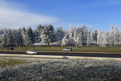 France, Bas-Rhin (67), région de Saverne, arbres givés en bordure de l'autoroute A4