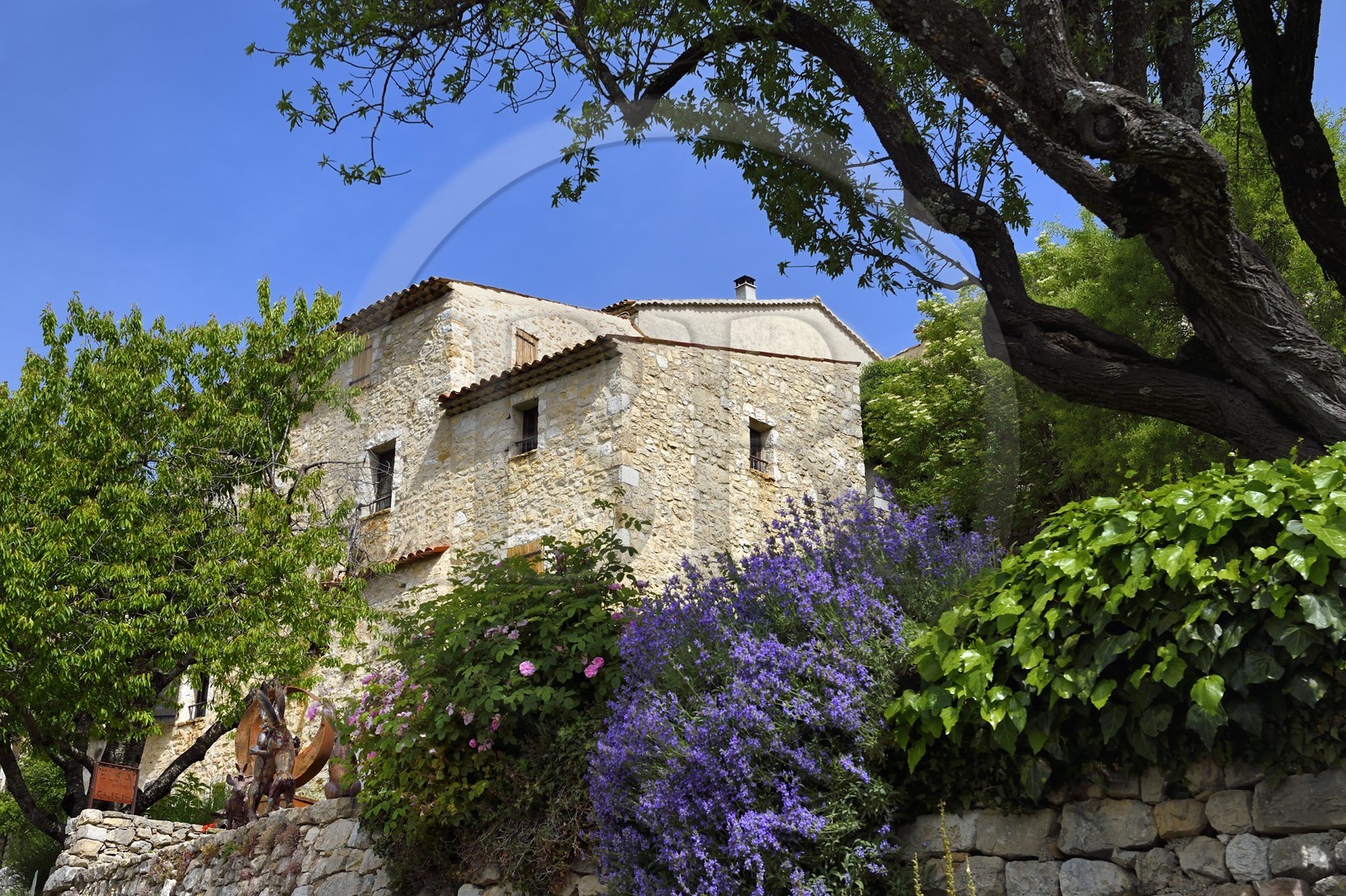 France, Var, Verdon Regional Natural Park, Bargeme village, labelled Les Plus Beaux Villages de France (The Most Beautiful Villages of France)