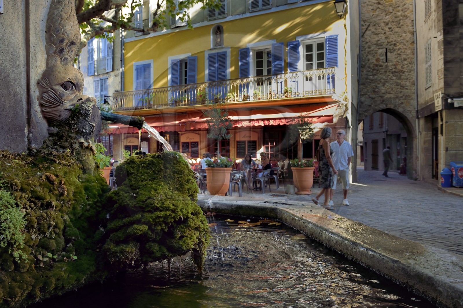 France, Var (83), La Dracénie, village de Bargemon, fontaine sous les platanes ombragés de la Place Chauvier
