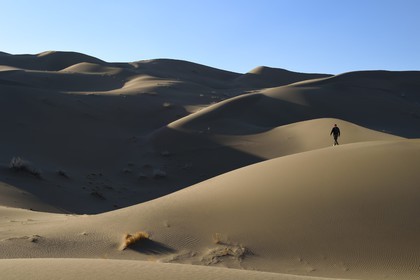Iran, Yazd province, Dasht-e Kavir desert, Moghestan, hiking in the dune system which highest dune reaches 200 meters