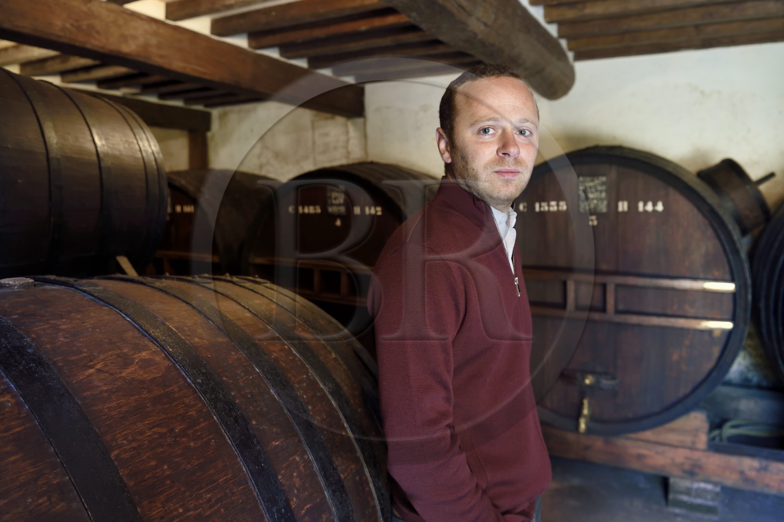 France, Calvados (14), Pays d'Auge, Saint-Cyr du Ronceray, Jean-Roger Groult producteur du Calvados Roger Groult AOC Pays d’Auge depuis cinq générations, tonneaux dans les chais de vieillissement