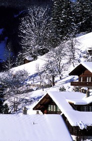 Switzerland, Bern Region (Bernese Oberland), cottage in Grindelwald