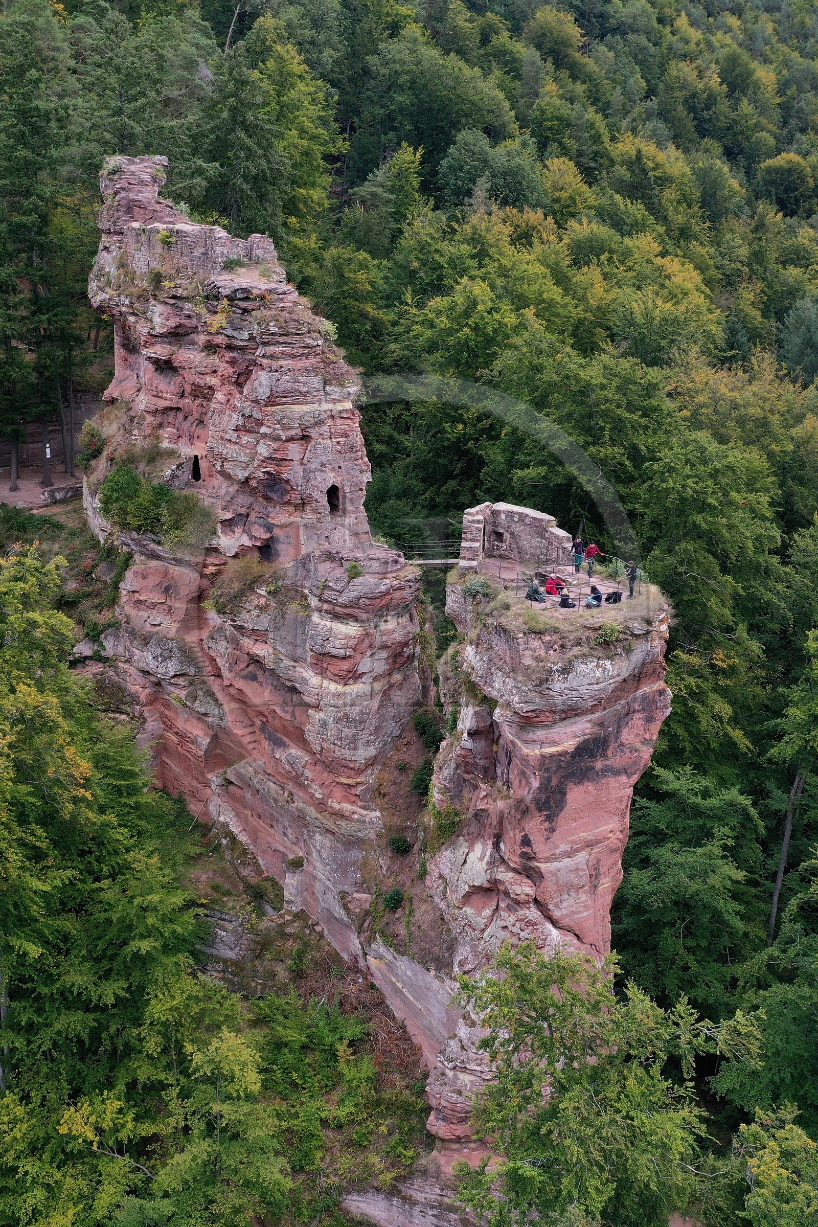 France, Bas-Rhin (67), Parc naturel r
