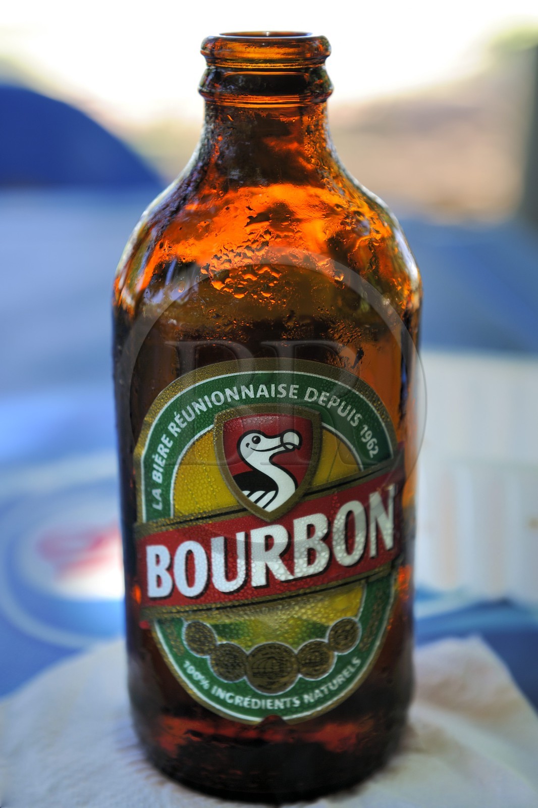 France, Reunion island (French overseas department), Bourbon bottle of local beer called also Dodo