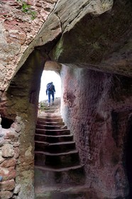 France, Bas Rhin, Northern Vosges Regional Natural Park, Obersteinbach, Klein Arnsberg Castle ruins, the straircase carved in the rock