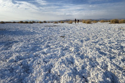 Iran, Isfahan province, Dasht-e Kavir desert, Khur, salt desert emerging from the soil by capillary action after rains