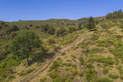 France, Cantal (15), Parc Naturel Régional des Volcans d'Auvergne, Laveissière, sur le chemin de Saint-Jacques de Compostelle par la Via Arverna, randonneurs sur les estives des pentes du Puy de Seycheuse (vue aérienne)