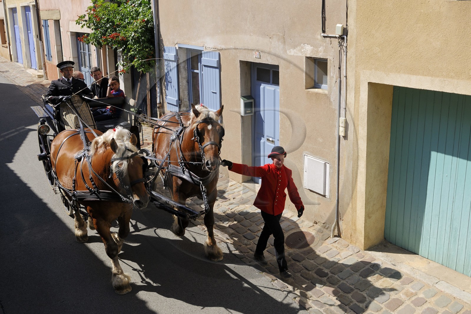 France, Saône et Loire (71), Cluny, attelage du Haras national rue d'Avril