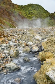 Caribbean, Dominica Island, Castle Bruce, Morne Trois Pitons National Park listed as World heritage by UNESCO, Valley of Desolation, river of hot springs, whose unique color is due to the presence of calcium, carbon, sulfur and iron, on the trail leading to Boiling Lake