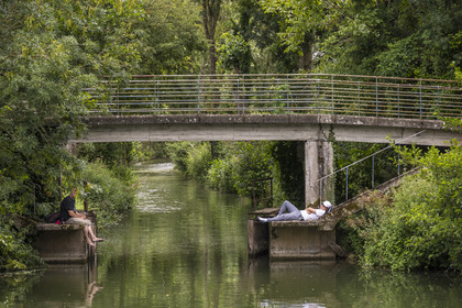 France, Deux-Sèvres (79), le Marais Poitevin, la Venise Verte, Coulon, pecheurs à la ligne au bord de la Sèvre Niortaise