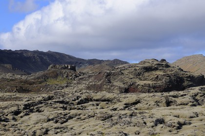 Iceland, Reykjavik area, lava fields covered with moss