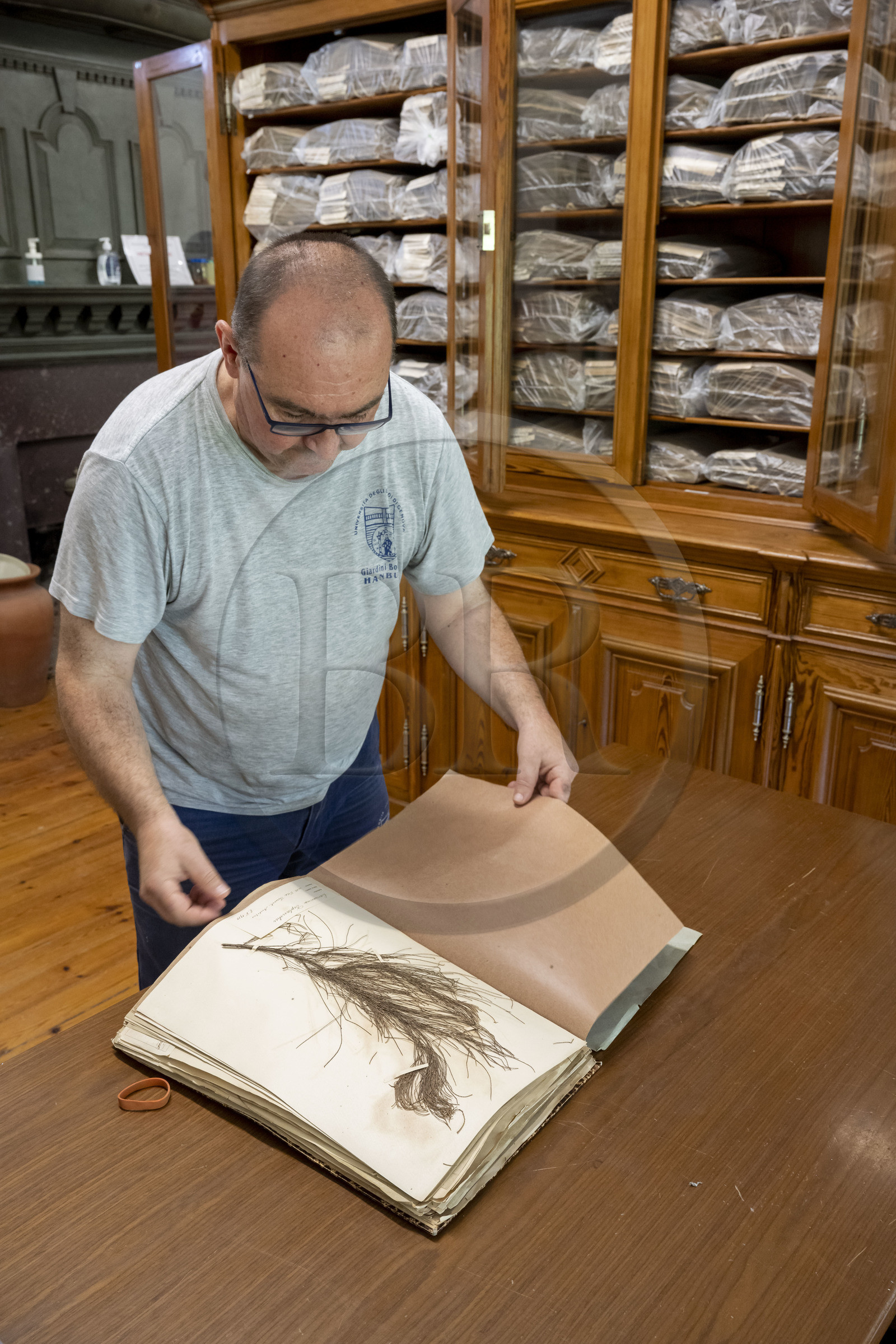 Italie, Ligurie, Province d'Imperia, Vintimille, Jardin botanique Hanbury, herbier dans le laboratoire de la Casa Rustica construite en 1886