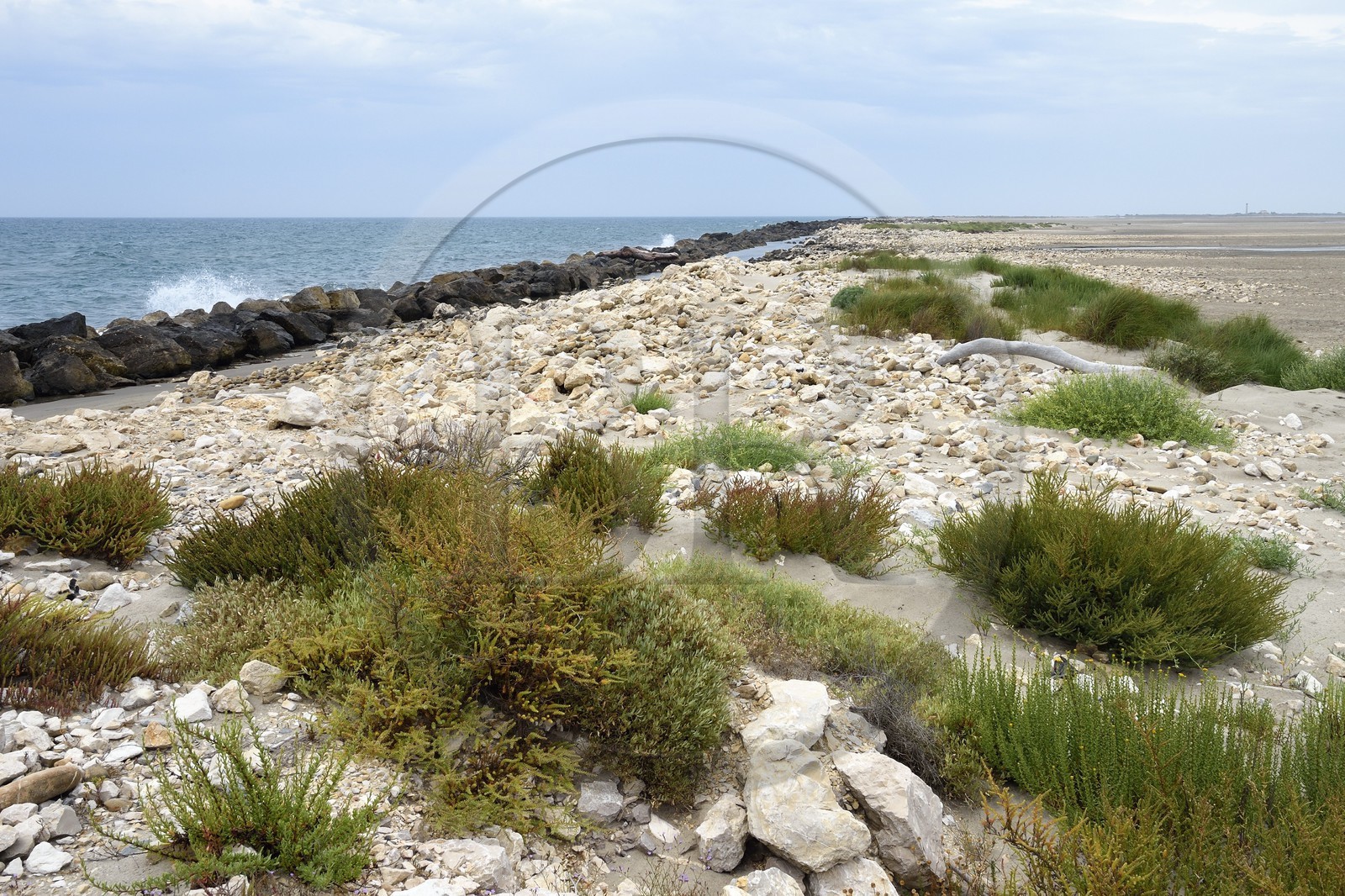 France, Bouches-du-Rhône (13), Parc naturel régional de Camargue, la grande digue frontale en bordure de mer France, Bouches-du-Rhône (13), Parc naturel régional de Camargue, la grande digue frontale en bordure de mer