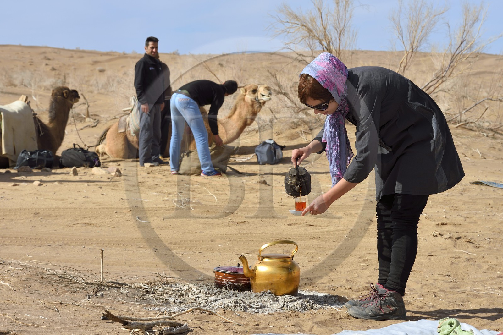 Iran, Province d'Ispahan, désert du Dasht-e Kavir, Mesr dans la région de Khur et Biabanak, randonnée chamelière, femme servant le thé à la pause de midi Iran, Province d'Ispahan, désert du Dasht-e Kavir, Mesr dans la région de Khur et Biabanak, randonnée chamelière, femme servant le thé à la pause de midi