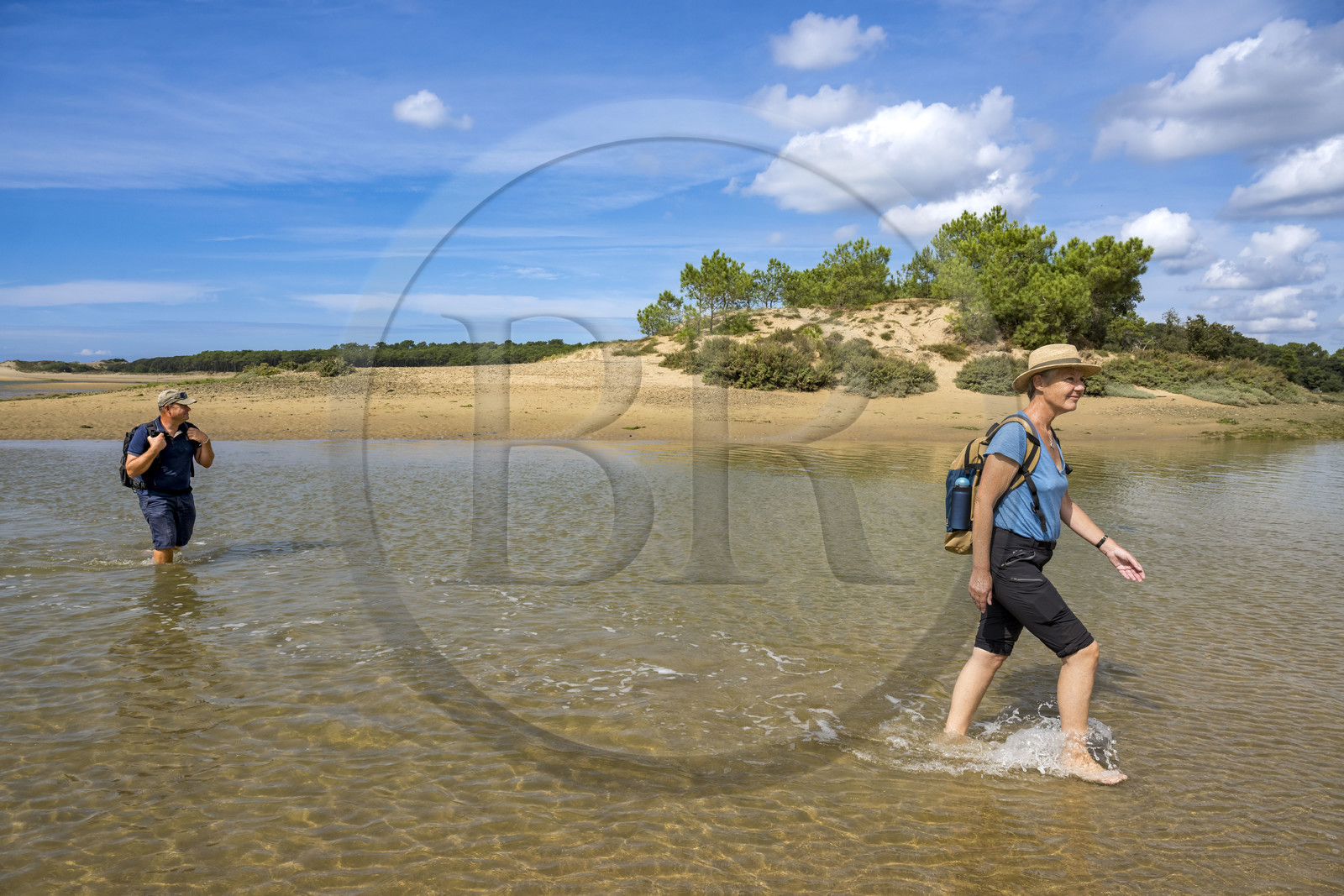 France, Vendée (85), Talmont-Saint-Hilaire, la Pointe du Payré, traversée de l'embouchure du Payré à marée basse par des randonneurs