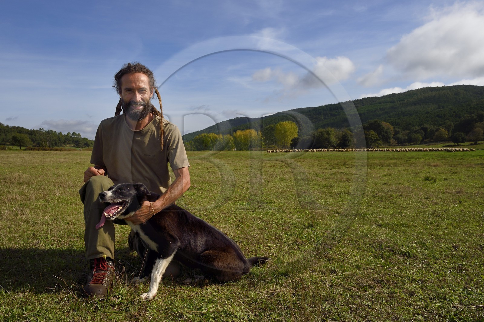 France, Var (83), Massif des Maures, Collobrières, plateau Lambert, le berger Laurent Ripert et son chien de troupeau