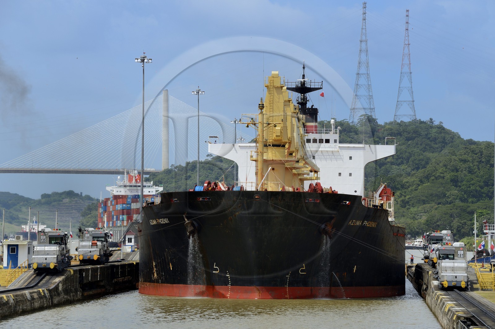 Panama, Canal de Panama, écluses de Pedro Miguel, mules mécaniques ou locomotives électriques guidant un cargo Panamax entre les murs de l'écluse