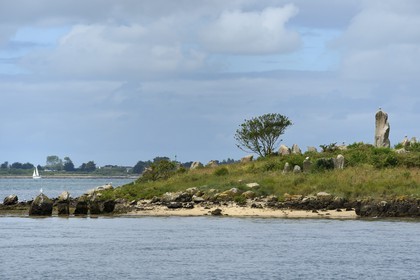 France, Morbihan, Gulf of Morbihan (Golfe du Morbihan), Er Lannic island with a Cromlech megalithic site