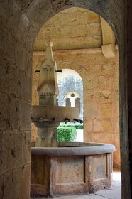 France, Var, the Thoronet cistercian abbey, the cloister fountain