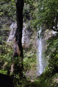 Caribbean, Dominica Island, Morne Trois Pitons National Park listed as World heritage by UNESCO, Middleham Falls on the Waitukubuli hiking trail that crosses the island