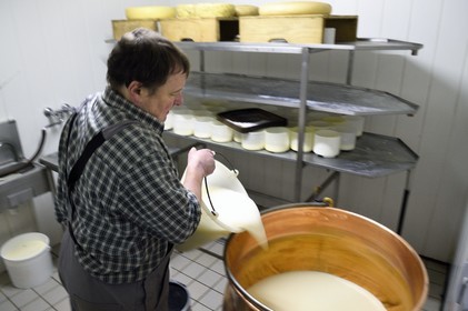 France, Haut-Rhin (68), Wasserbourg, Ferme-auberge Buchwald, le marcaire Michel Wehrey à la fabrication du fromage de munster AOP (lait de vache) dans un chaudron en cuivre