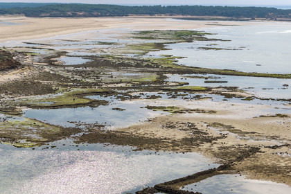 France, Vendée (85), Talmont-Saint-Hilaire, murs de la pêcherie en ruine sur l'estran du Veillon et la Pointe du Payré en arrière plan (vue aérienne)
